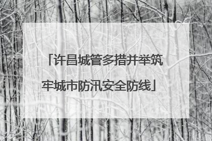 许昌城管多措并举筑牢城市防汛安全防线