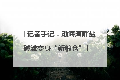 记者手记：渤海湾畔盐碱滩变身“新粮仓”