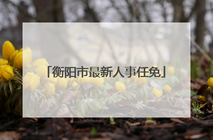 衡阳市最新人事任免