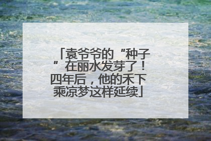 袁爷爷的“种子”在丽水发芽了！四年后，他的禾下乘凉梦这样延续