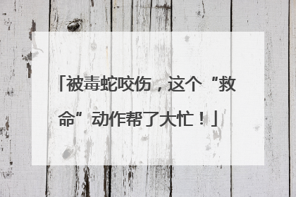 被毒蛇咬伤，这个“救命”动作帮了大忙！