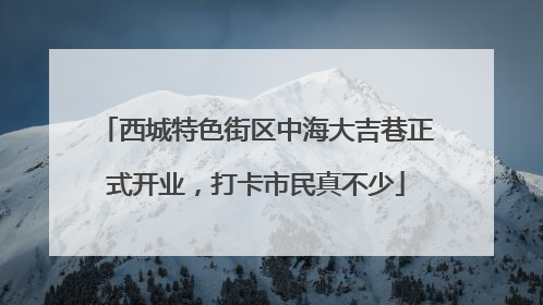 西城特色街区中海大吉巷正式开业，打卡市民真不少