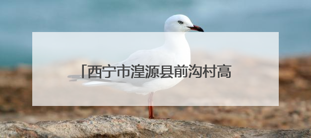 西宁市湟源县前沟村高山大白杜鹃走红网络