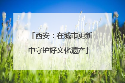 西安：在城市更新中守护好文化遗产