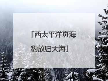 西太平洋斑海豹放归大海