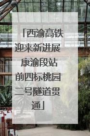 西渝高铁迎来新进展 康渝段站前四标桃园二号隧道贯通