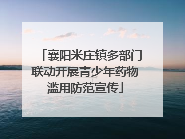 襄阳米庄镇多部门联动开展青少年药物滥用防范宣传