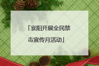 襄阳开展全民禁毒宣传月活动