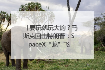 要玩就玩大的？马斯克回击特朗普：SpaceX“龙”飞船将立即退役！