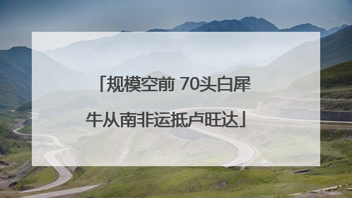 规模空前 70头白犀牛从南非运抵卢旺达