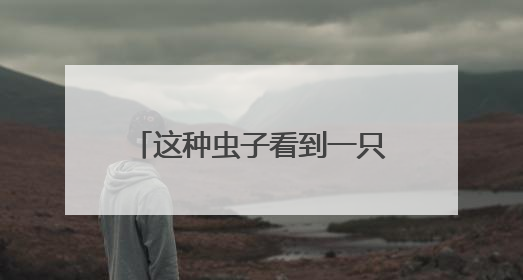 这种虫子看到一只家里很可能有一万只，除虫攻略→