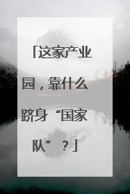 这家产业园，靠什么跻身“国家队”？