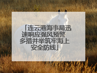 连云港海事局迅速响应强风预警 多措并举筑牢海上安全防线