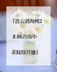 连云港海州28.86万亩小麦陆续开镰
