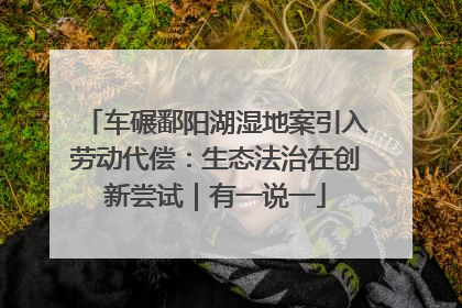 车碾鄱阳湖湿地案引入劳动代偿：生态法治在创新尝试｜有一说一