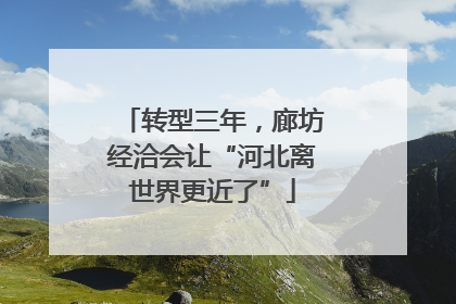 转型三年，廊坊经洽会让“河北离世界更近了”