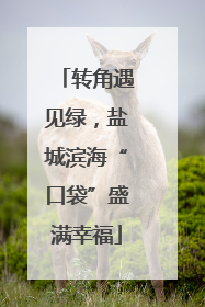 转角遇见绿，盐城滨海“口袋”盛满幸福