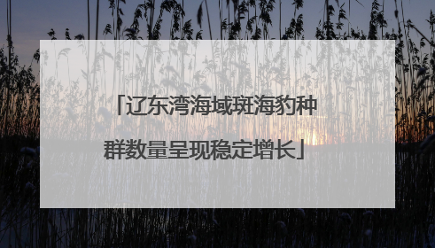 辽东湾海域斑海豹种群数量呈现稳定增长