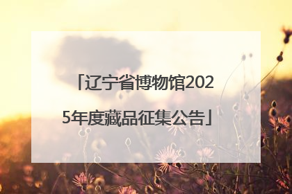 辽宁省博物馆2025年度藏品征集公告