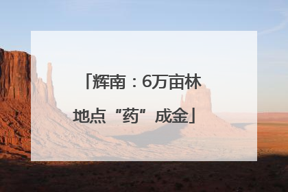 辉南：6万亩林地点“药”成金