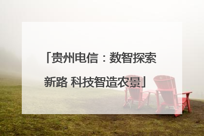 贵州电信：数智探索新路 科技智造农景