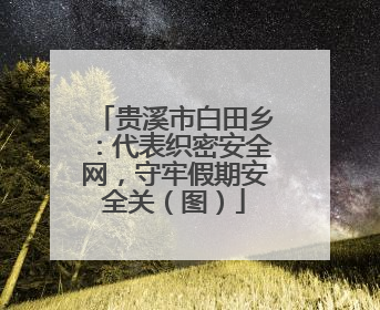 贵溪市白田乡：代表织密安全网，守牢假期安全关（图）