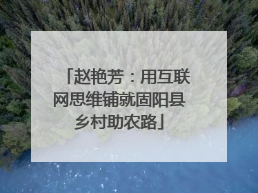 赵艳芳：用互联网思维铺就固阳县乡村助农路