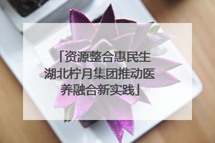 资源整合惠民生 湖北柠月集团推动医养融合新实践