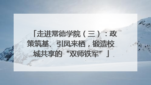 走进常德学院（三）：政策筑基、引凤来栖，锻造校城共享的“双师铁军”