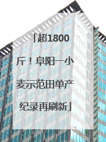 超1800斤！阜阳一小麦示范田单产纪录再刷新