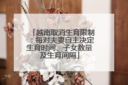 越南取消生育限制：每对夫妻自主决定生育时间、子女数量及生育间隔