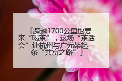 跨越1700公里也要来“喝茶”，这场“茶话会”让杭州与广元架起一条“共富之路”