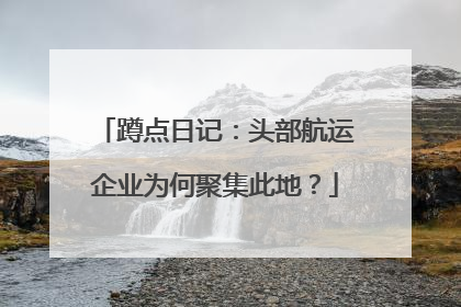蹲点日记：头部航运企业为何聚集此地？