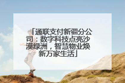 通联支付新疆分公司：数字科技点亮沙漠绿洲，智慧物业焕新万家生活