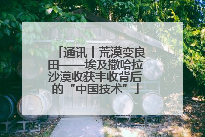 通讯丨荒漠变良田——埃及撒哈拉沙漠收获丰收背后的“中国技术”