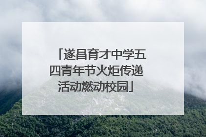 遂昌育才中学五四青年节火炬传递活动燃动校园