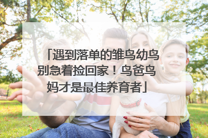 遇到落单的雏鸟幼鸟别急着捡回家！鸟爸鸟妈才是最佳养育者