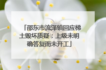 邵东市流泽镇回应梯土毁坏质疑：上级未明确答复而未开工