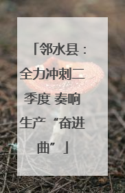 邻水县：全力冲刺二季度 奏响生产“奋进曲”