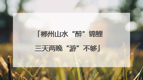 郴州山水“醉”锦鲤 三天两晚“游”不够