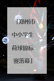 郑州市中小学生荷球锦标赛落幕