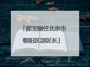 郝宝刚任北京市朝阳区副区长