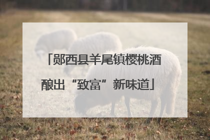 郧西县羊尾镇樱桃酒酿出“致富”新味道