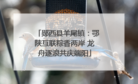 郧西县羊尾镇：鄂陕互联粽香两岸 龙舟逐浪共庆端阳