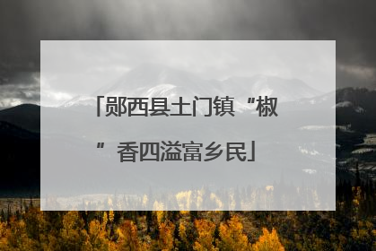 郧西县土门镇“椒”香四溢富乡民
