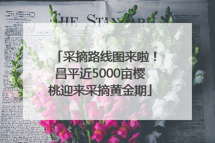 采摘路线图来啦！昌平近5000亩樱桃迎来采摘黄金期
