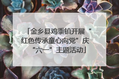 金乡县鸡黍镇开展“红色传承童心向党”庆“六一”主题活动