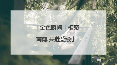 金色瞬间丨相聚南博 共赴盛会