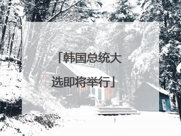 韩国总统大选即将举行