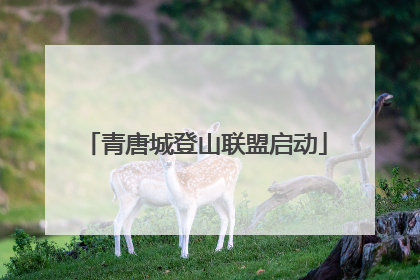 青唐城登山联盟启动